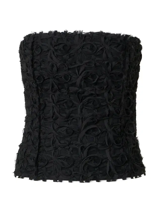 Akris punto Women's Embroidered Tulle Strapless Bustier Top - Black