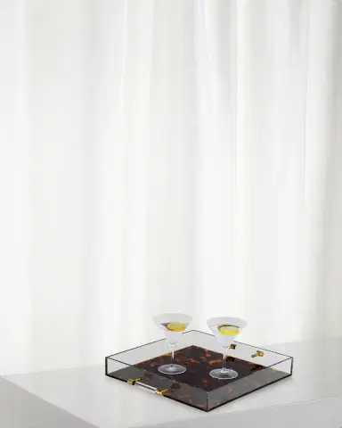 Port 68 Tortoise Lucite Tray | Thumbnail 1