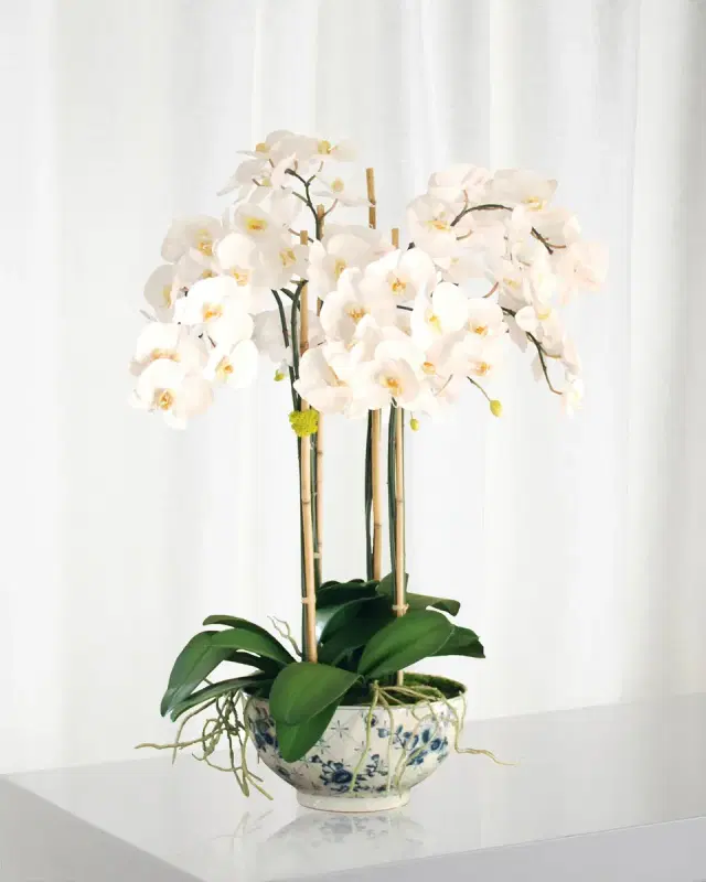 Phalaenopsis in Rose Trellis Bowl