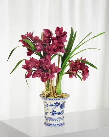 Winward Home Cymbidium in Oval Planter | Thumbnail 1