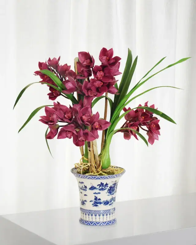 Winward Home Cymbidium in Oval Planter