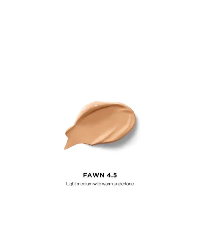 Vanish Airbrush Concealer, 0.04 oz