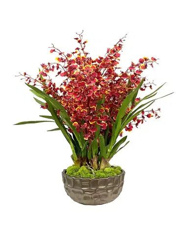Winward Home Dancing Orchid in Modern Bowl | Thumbnail 2