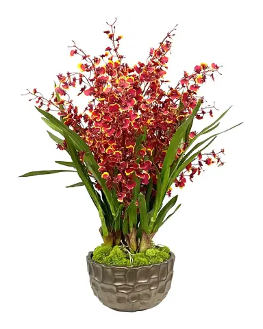 Winward Home Dancing Orchid in Modern Bowl | Thumbnail 1