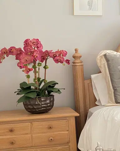 Winward Home Orchid in Modern Bowl | Thumbnail 2