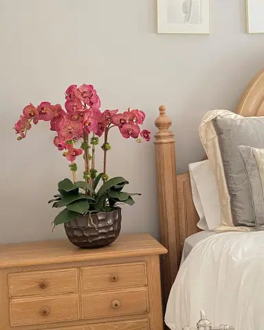 Winward Home Orchid in Modern Bowl | Thumbnail 1