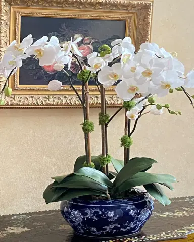Winward Home Orchid in Fish Bowl | Thumbnail 2