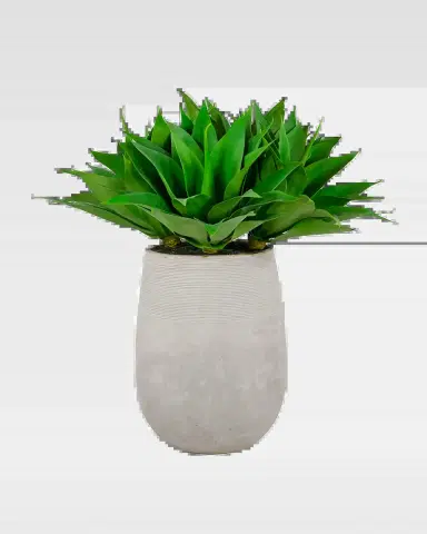 Winward Home 36" Aloe in Stonecast Planter | Thumbnail 2