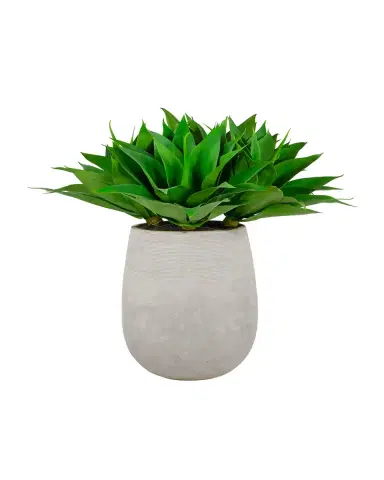 Winward Home 36" Aloe in Stonecast Planter | Thumbnail 3