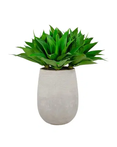 Winward Home 36" Aloe in Stonecast Planter | Thumbnail 1