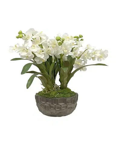 Winward Home Vanda Orchid in Bowl | Thumbnail 2