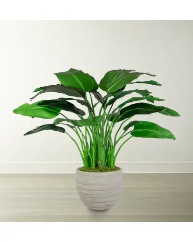 Winward Home Travelers Small Palm in Pot | Thumbnail 2