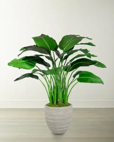 Winward Home Travelers Small Palm in Pot | Thumbnail 1