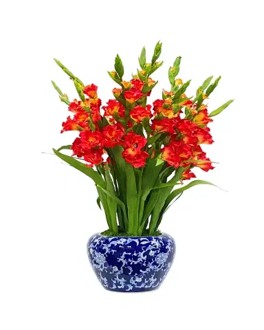 Winward Home Gladiolus in Fish Bowl Faux-Floral Arrangement | Thumbnail 2