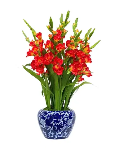 Winward Home Gladiolus in Fish Bowl Faux-Floral Arrangement | Thumbnail 1
