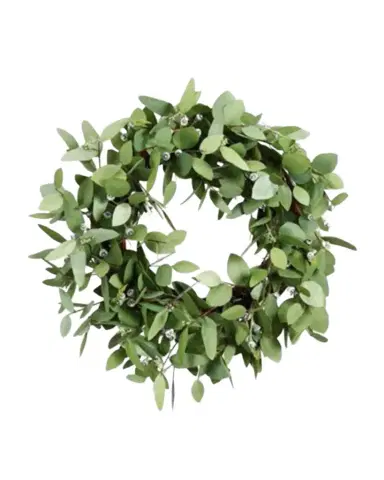 Winward Home Seeded Eucalyptus Wreath | Thumbnail 1