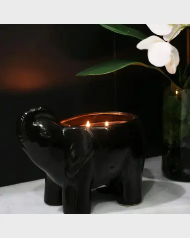 Thompson Ferrier 28 oz Elephant Scented Candle | Thumbnail 2