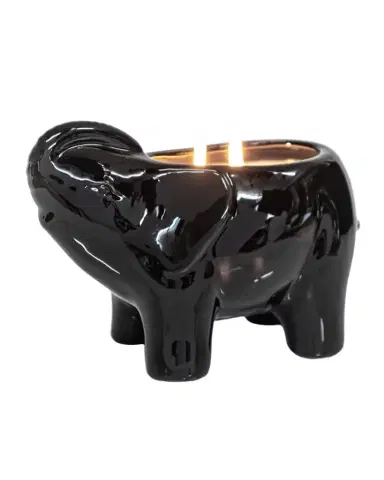 Thompson Ferrier 28 oz Elephant Scented Candle | Thumbnail 1