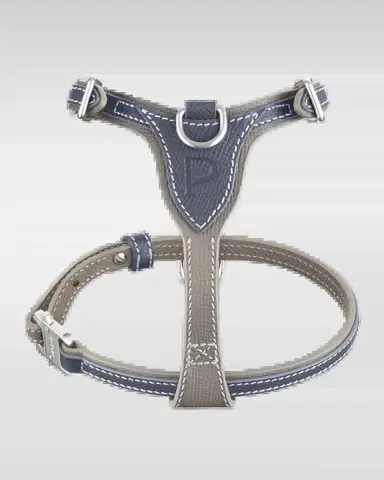 Pagerie Petite Leather Dog Harness | Thumbnail 2