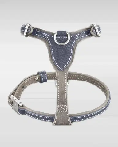 Pagerie Petite Leather Dog Harness | Thumbnail 2