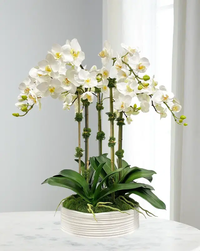 Winward Home Orchid Faux Floral Arrangement in Coil Bowl
