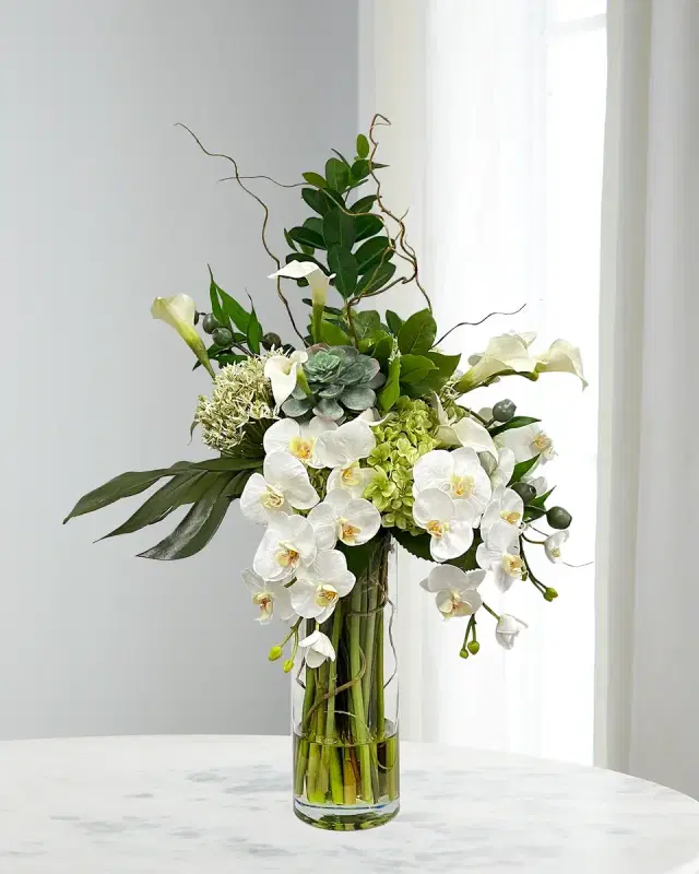 Winward Home Split Philo Orchid in Vase