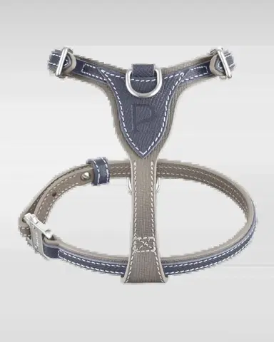 Pagerie Petite Leather Dog Harness | Thumbnail 2