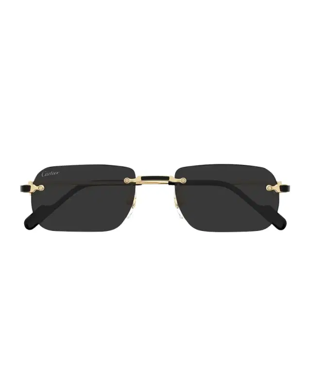 Cartier Men 's Nylon & Metal Rectangle Sunglasses