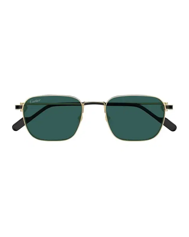 Cartier Men 's CT0497SM Metal Rectangle Sunglasses