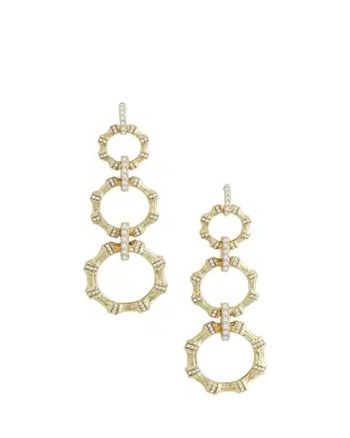 Anabel Aram Jewelry Bamboo Long Chain Earrings | Thumbnail 1