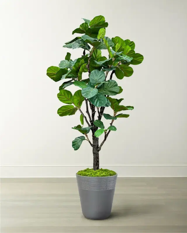 Winward Home Fiddle Leaf Tree in Planter, 96"