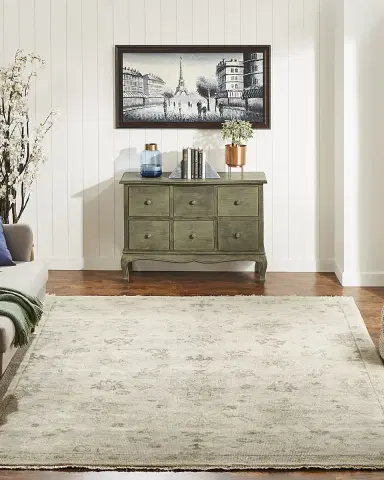 Haven & Loom Aylana Hand-Knotted Rug | Thumbnail 5