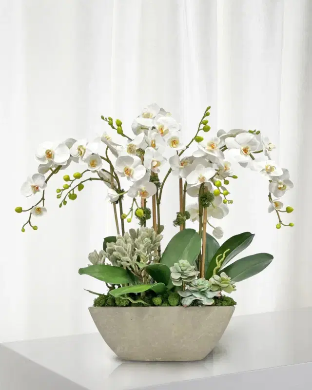 Winward Home Orchid Succulent 26" Faux Floral Arrangement in Fiberglass Planter