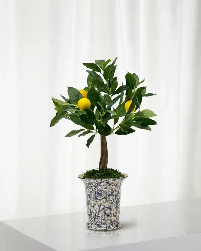 Winward Home Faux Lemon Tree in Ceramic Vase, 21"