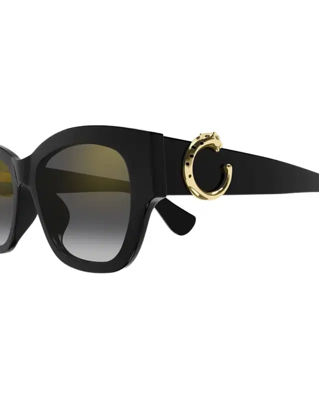 C-Logo Cat-Eye Shape Acetate Sunglasses