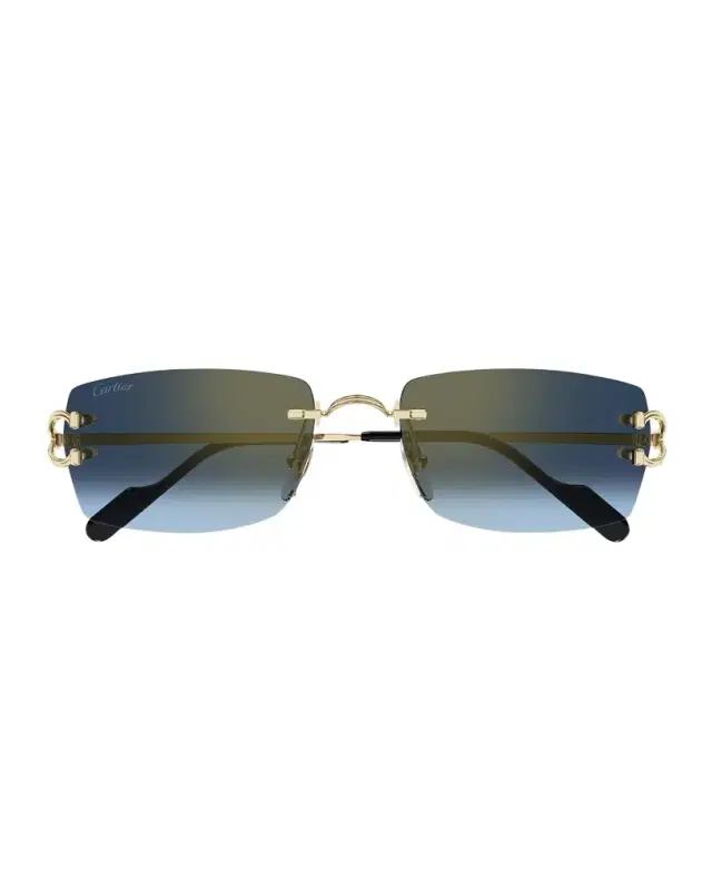 Cartier Men 's CT0550SM Metal Rectangle Sunglasses