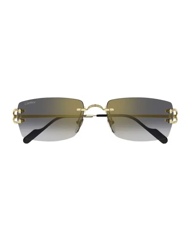 Cartier Men 's CT0550SM Metal Rectangle Sunglasses