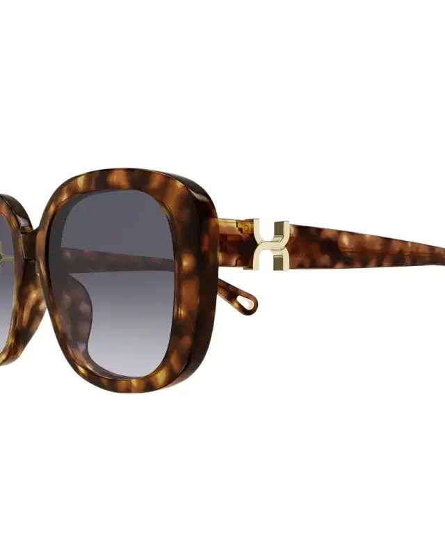 Round Acetate Sunglasses