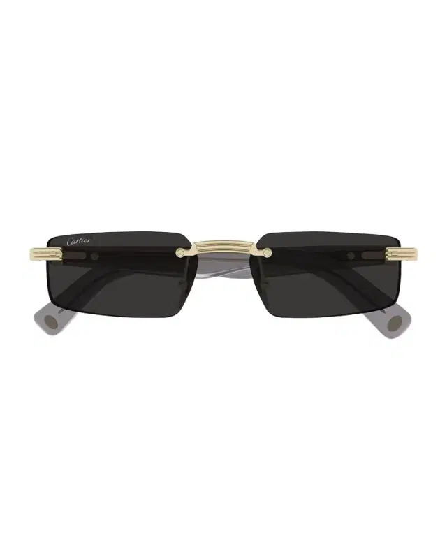 Cartier Men 's CT0537SM Metal Rectangle Sunglasses