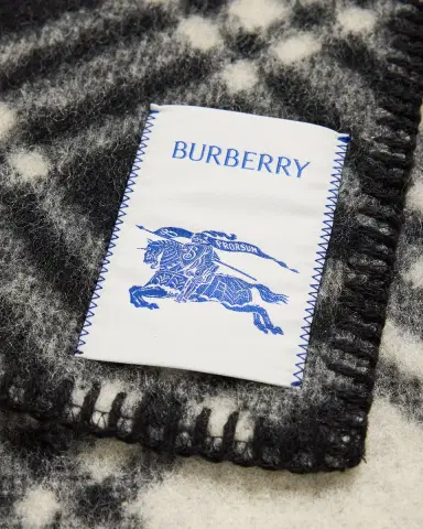 Burberry Men's Narrow Check Wool Scarf | Thumbnail 4