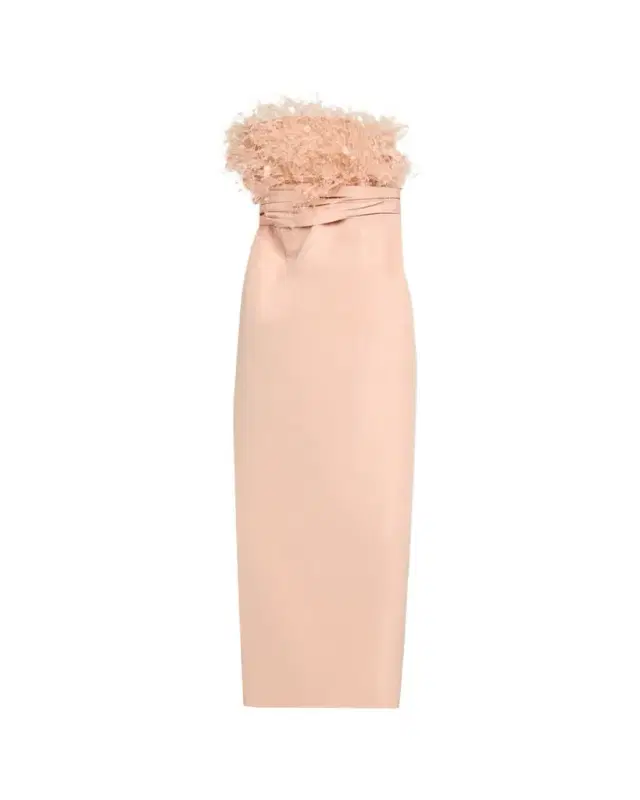 Strapless Dramatic Point D'esprit Silk Column Gown