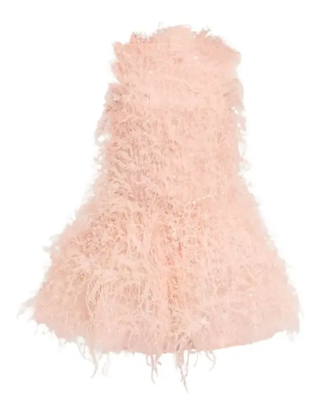 Feather Sequined Sleeveless Bubble Mini Dress