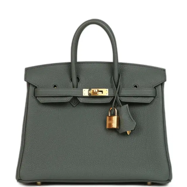 Hermes Birkin 25 Vert Amande Togo Gold Hardware