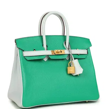 HERMÈS Hermes Special Order (HSS) Birkin 25 Bi-Color Menthe and Bleu Brume Chevre Mysore Brushed Gold | Thumbnail 2