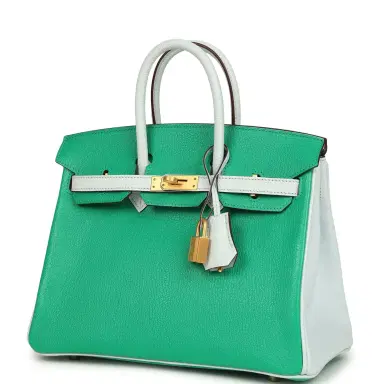 HERMÈS Hermes Special Order (HSS) Birkin 25 Bi-Color Menthe and Bleu Brume Chevre Mysore Brushed Gold | Thumbnail 5