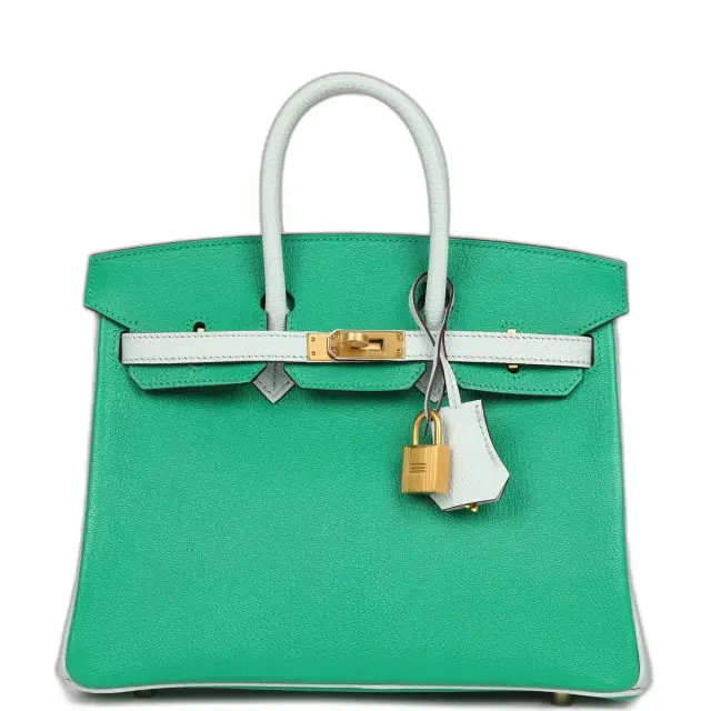 hermes Hermes Special Order (HSS) Birkin 25 Bi-Color Menthe and Bleu Brume Chevre Mysore Brushed Gold