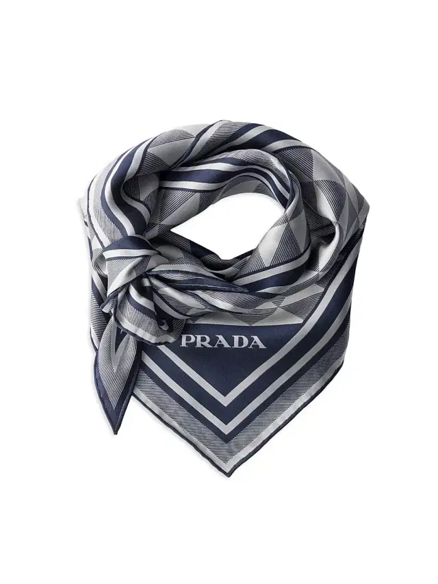 Women's Printed Silk Scarf - Blue