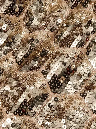 Ramy Brook Women's Shauna Sequinned Gown | Thumbnail 7