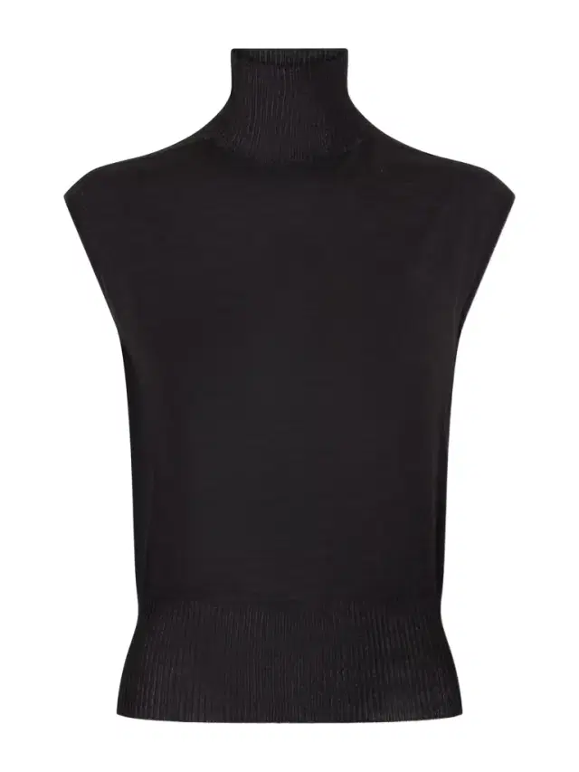 Wool Turtleneck Top