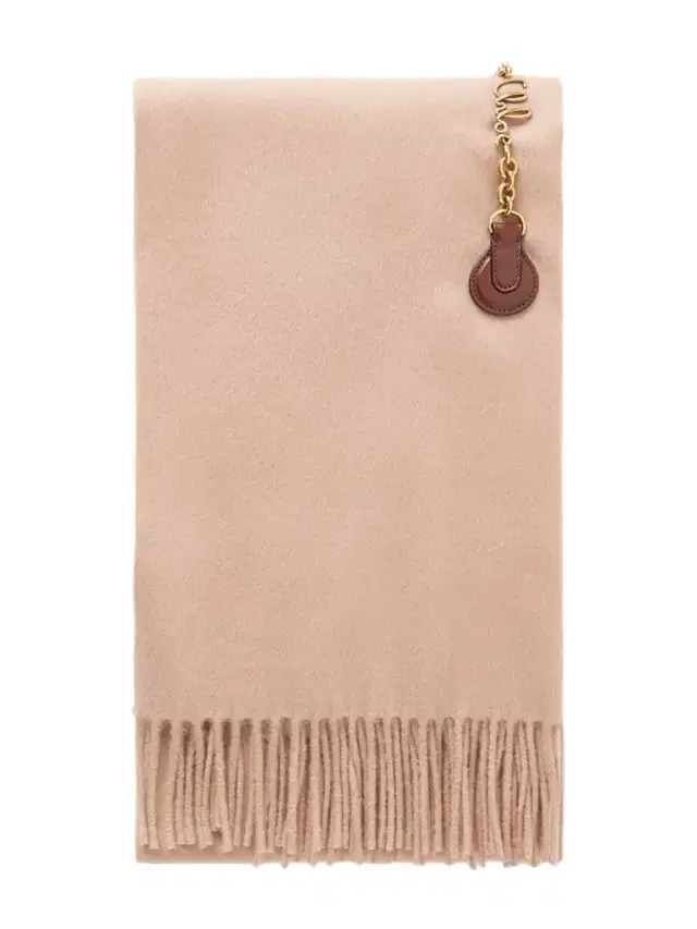 Fringed Embellished Leather-trimmed Wool Scarf